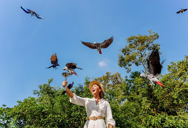 Singapore Zoo, River Wonders, Night Safari and Bird Paradise with Return Transfer