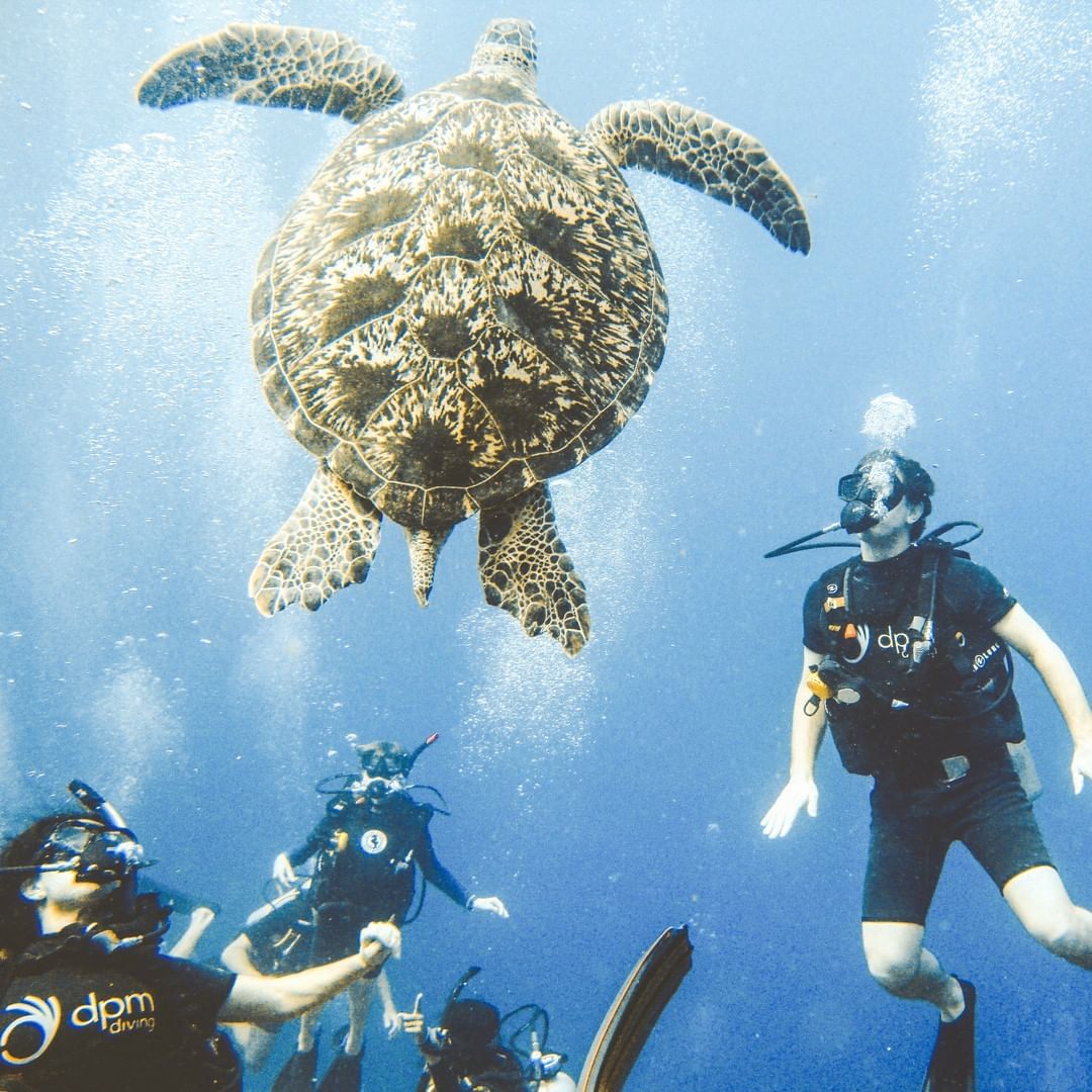 ดำน้ำสนุก / ทดลองดำน้ำ (Discover Scuba Diving - DSD)
