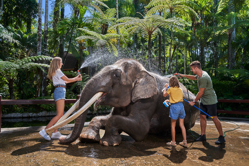 Jumbo Wash The Elephant & Safari Ride