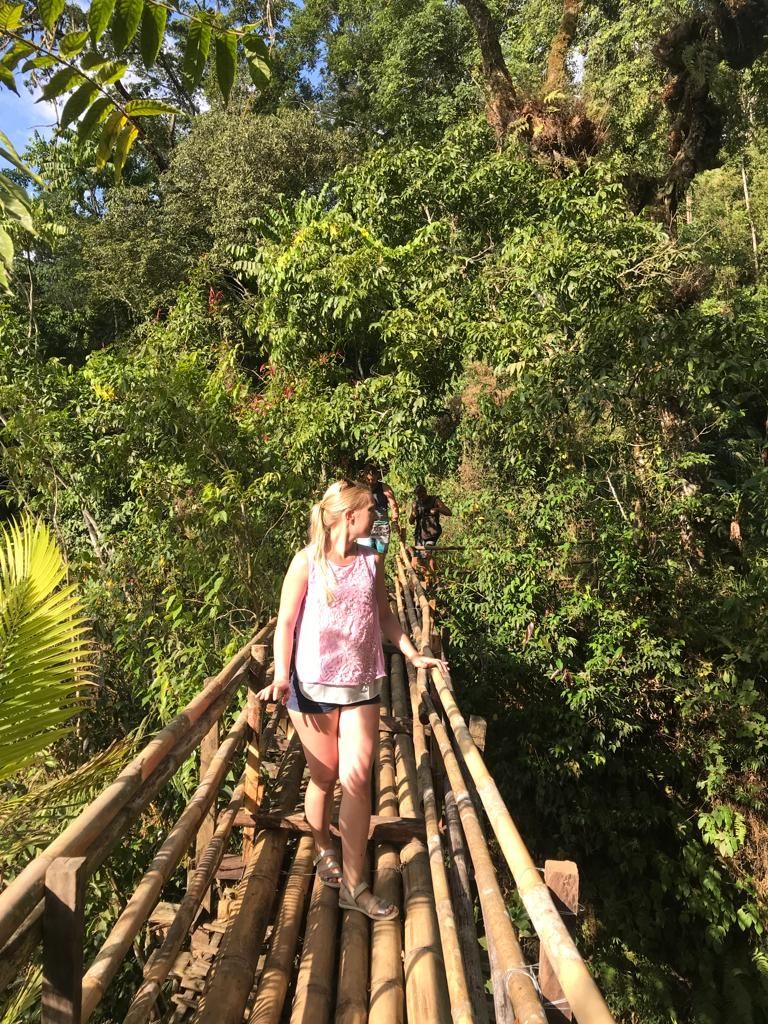 Jungle Trekking Sambangan