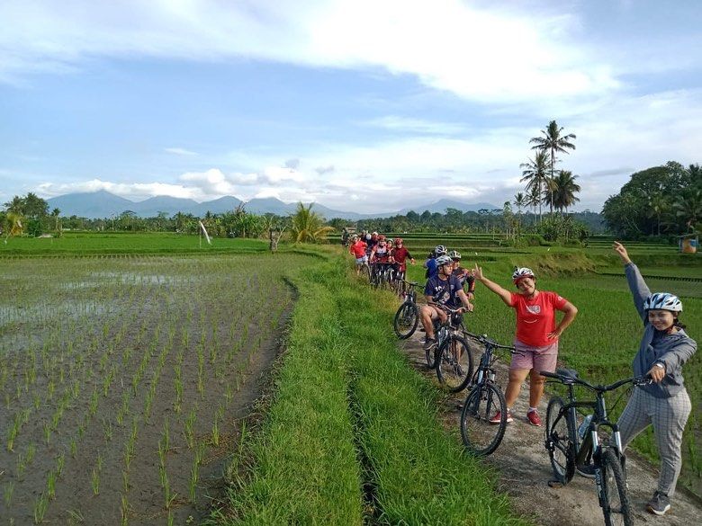 Kintamani or Ubud Cycling