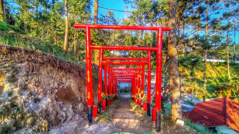 Lawu Park High Rope