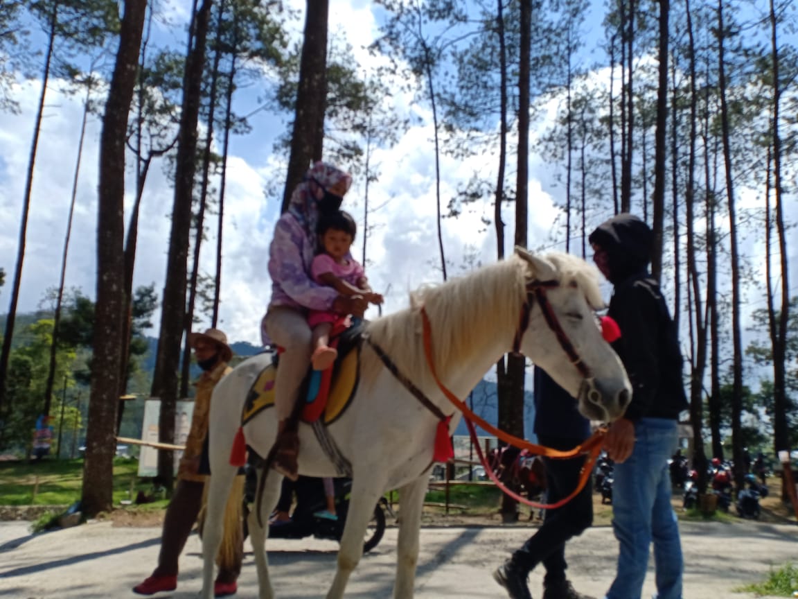 Lawu Park Horse Riding
