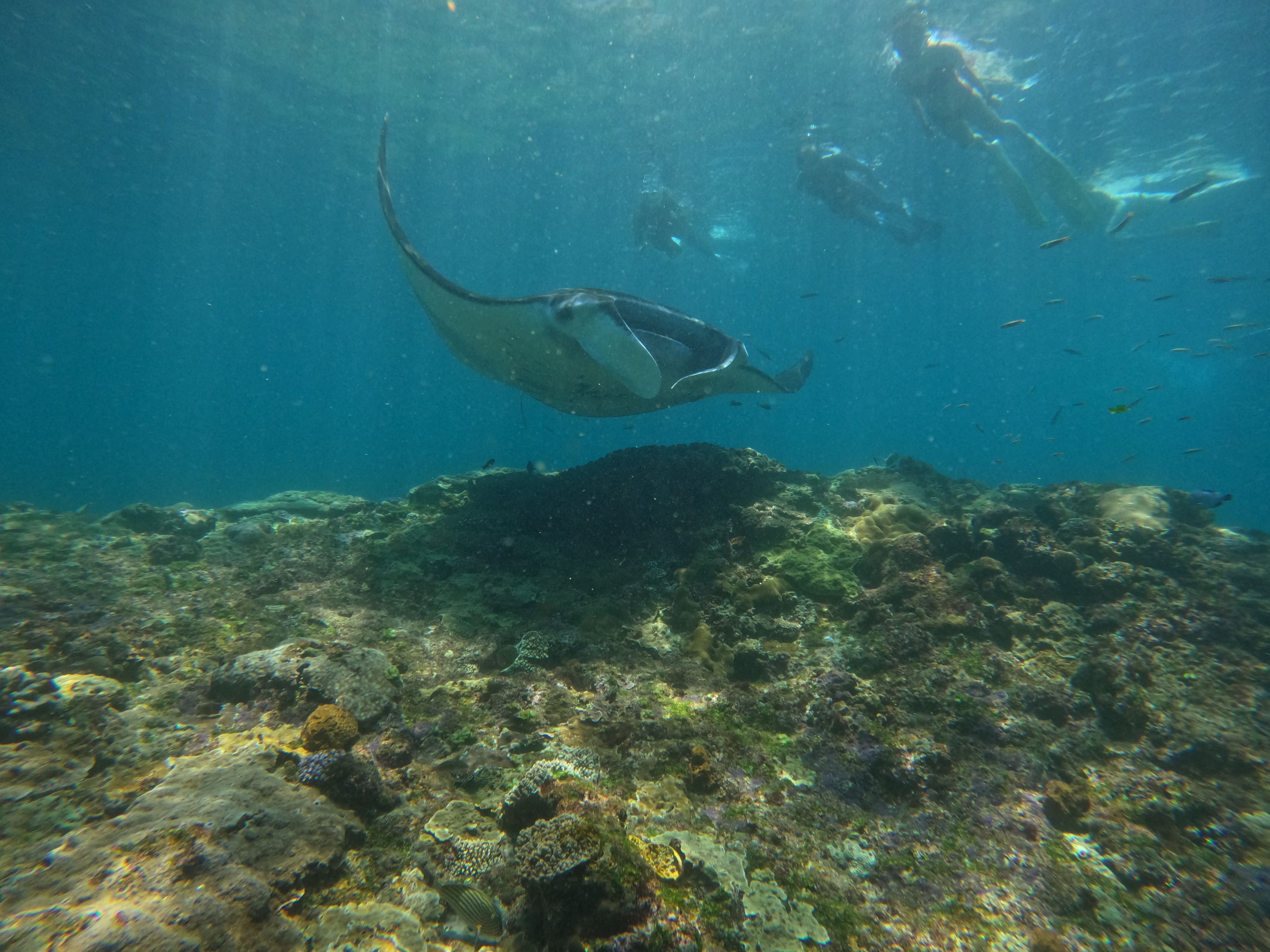 Lembongan Island Explore