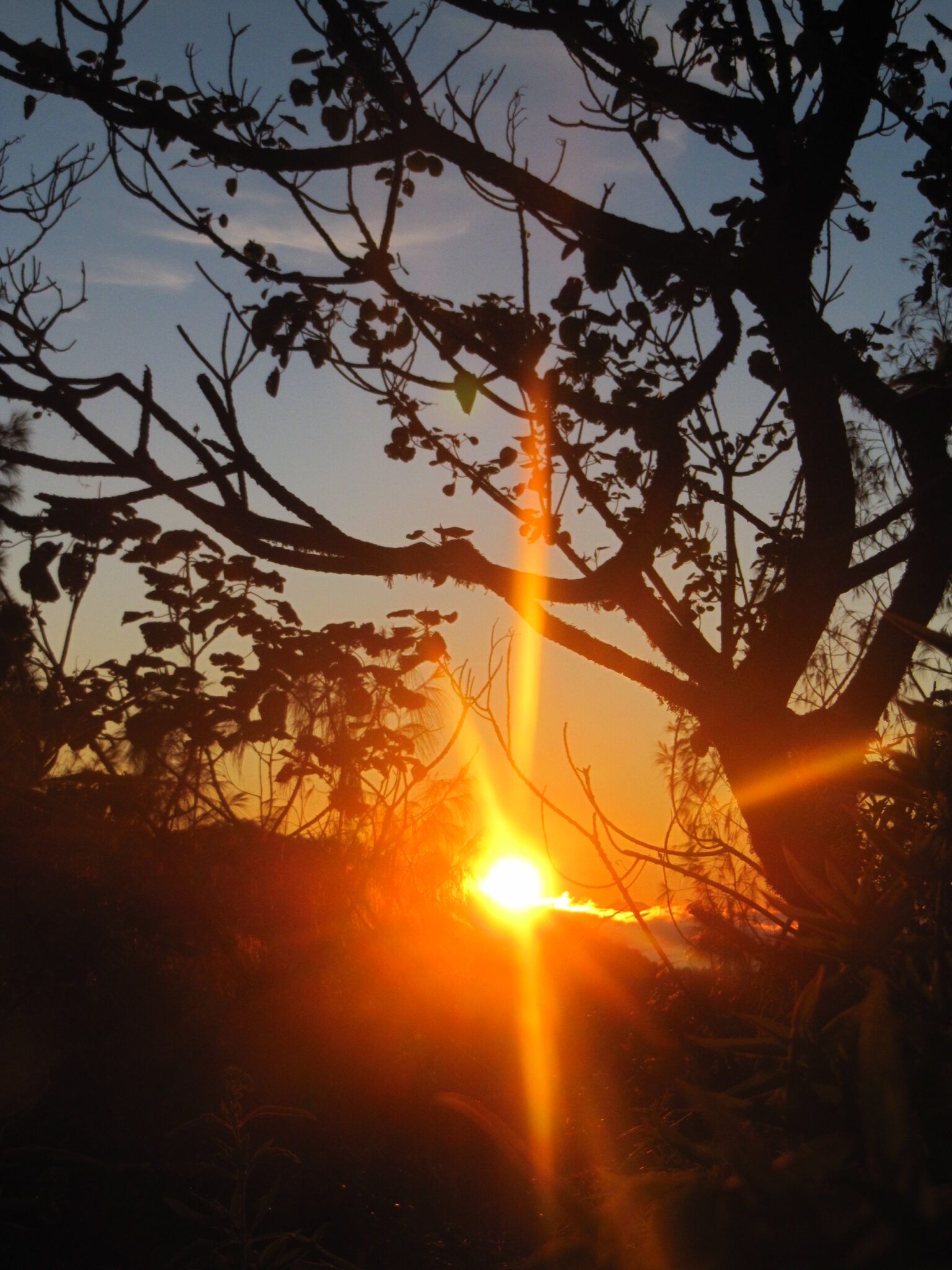 Mount Sanghyang Sunrise