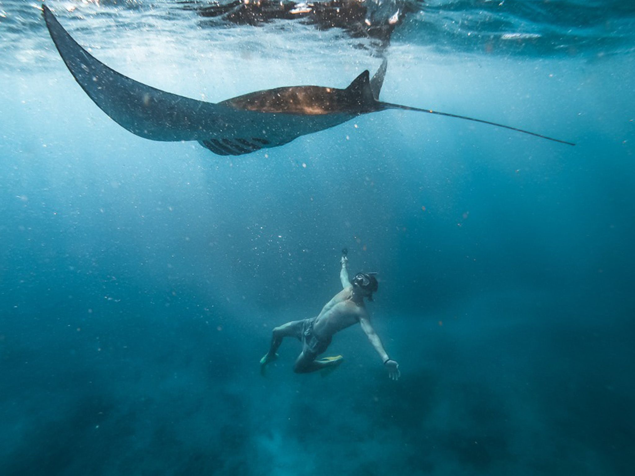 Nusa Penida: Snorkeling at 4 Spots with Guide