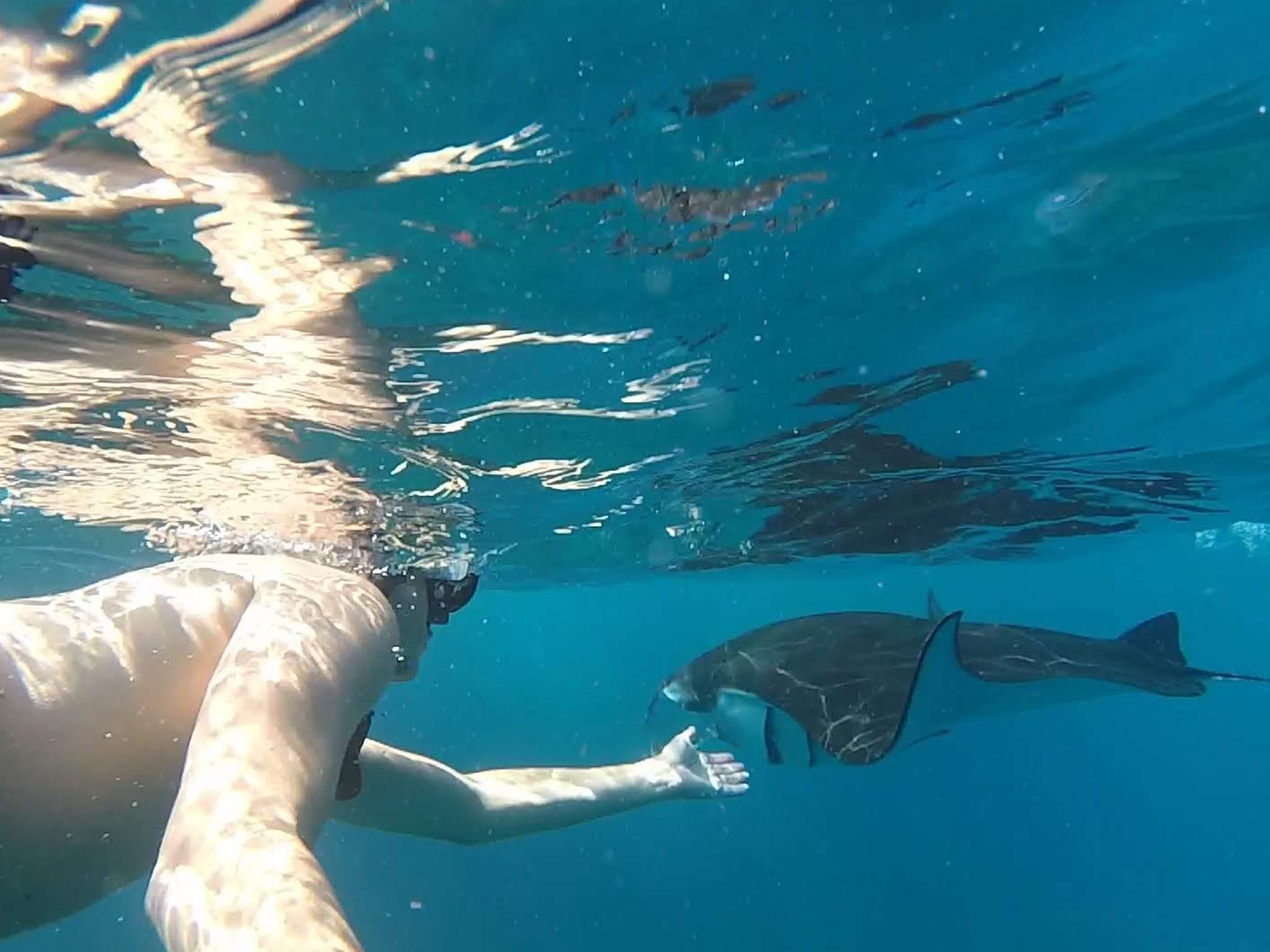 The Most Incredible Nusa Penida With Snorkeling Manta