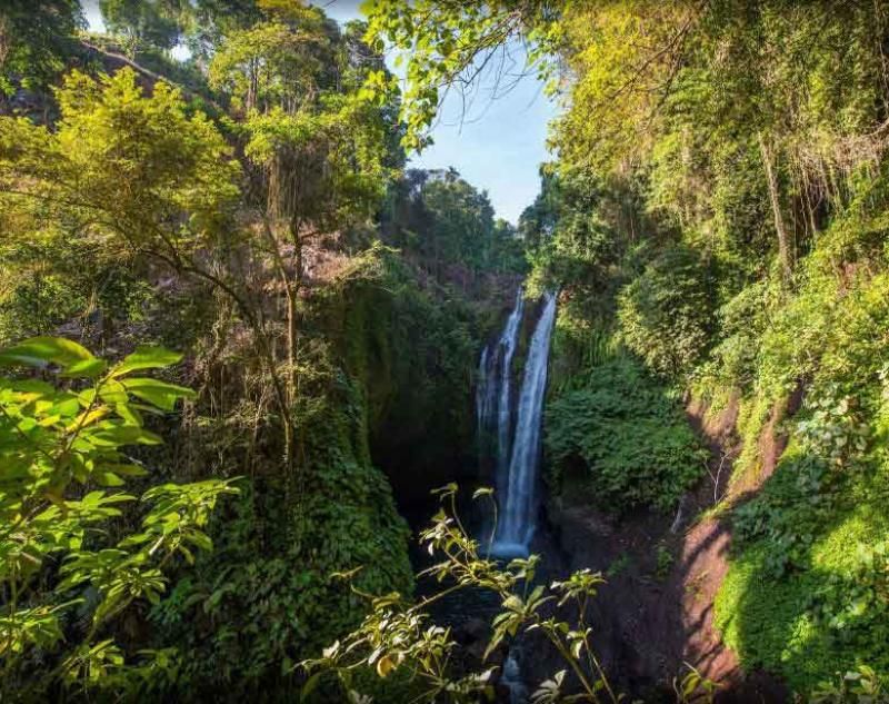 Tree Strenghts Waterfall
