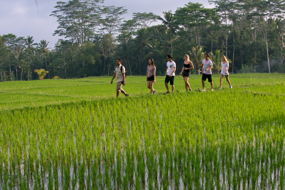 Tropical Trekking