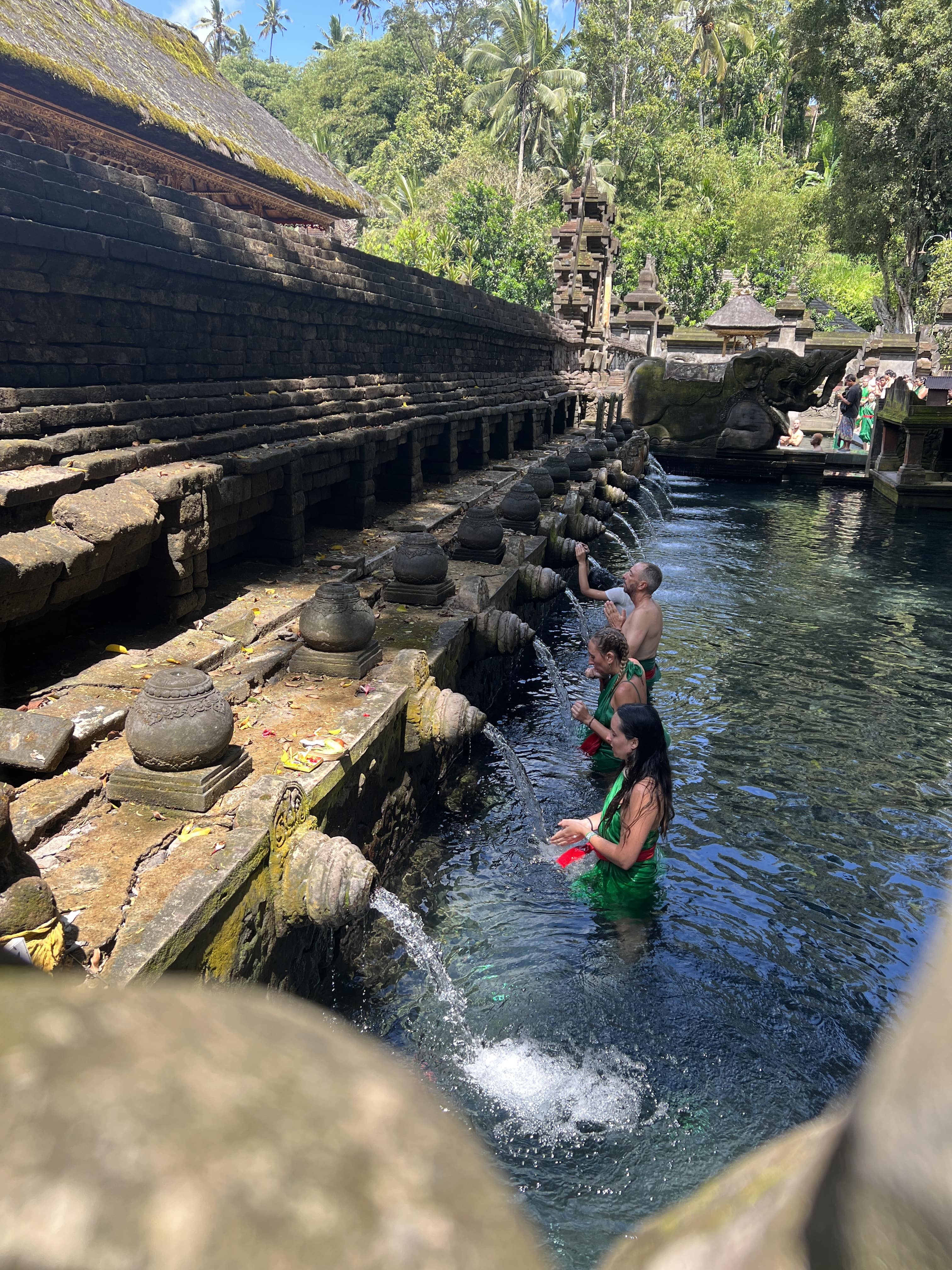 Ubud Sightseeing, Holy Water Temple & Waterfall
