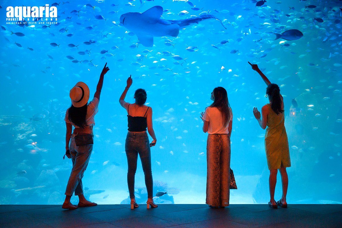 Aquaria Phuket - INTER MARKET