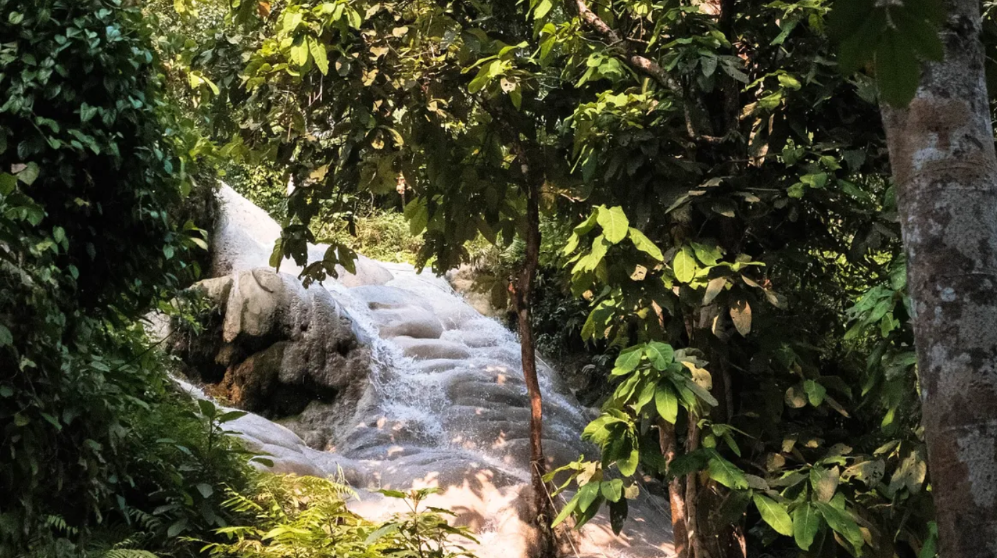 Climb Unique Sticky Waterfall in Chiang Mai