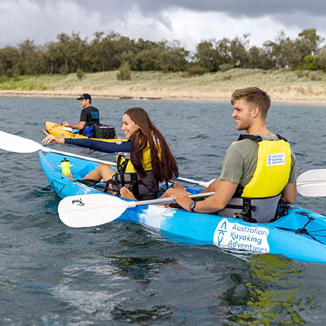 2 Hours  Broadwater Dolphin Kayaking & Snorkeling Tour | Queensland