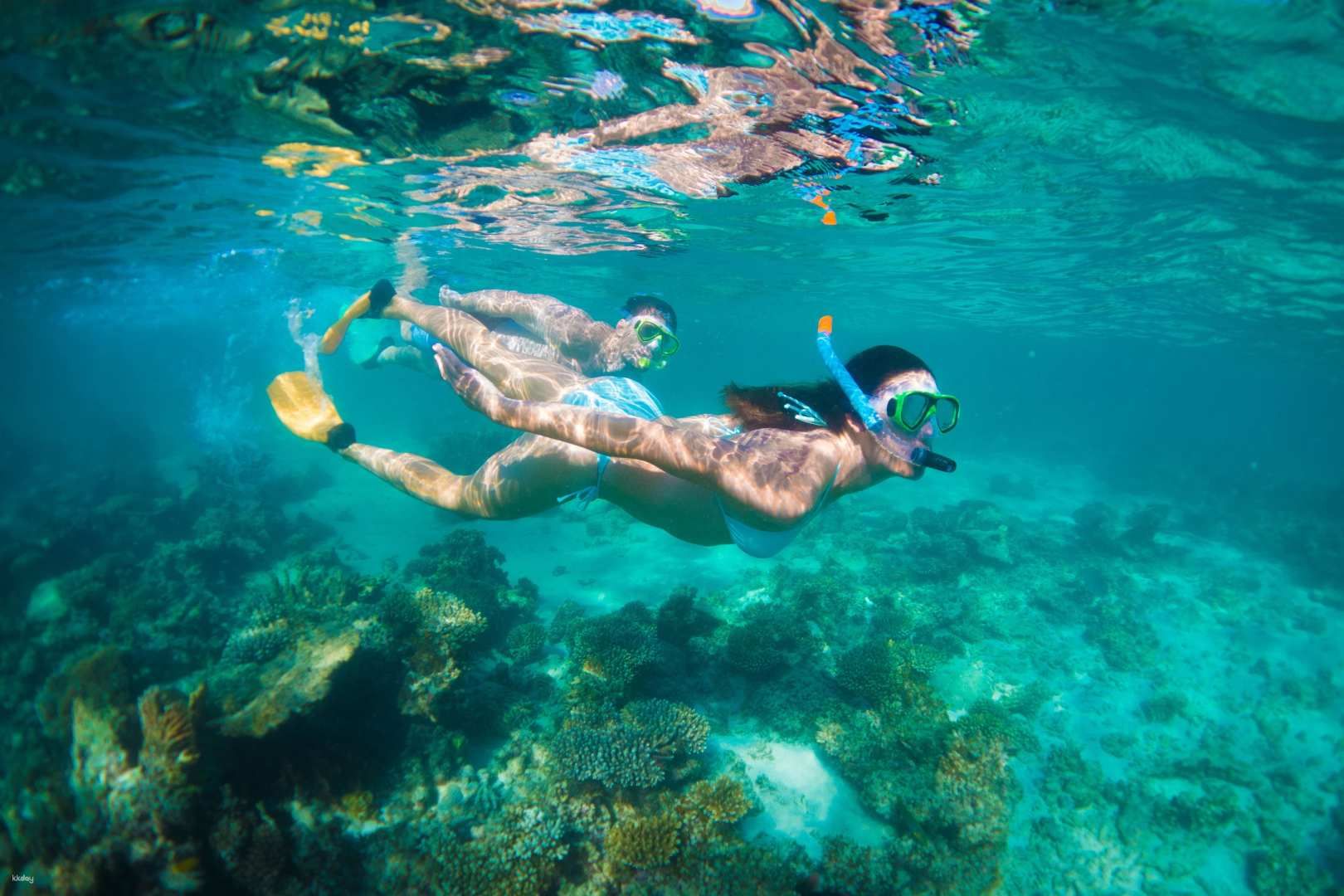 6D5N Perth to Exmouth Coral Coaster Tour | Western Australia