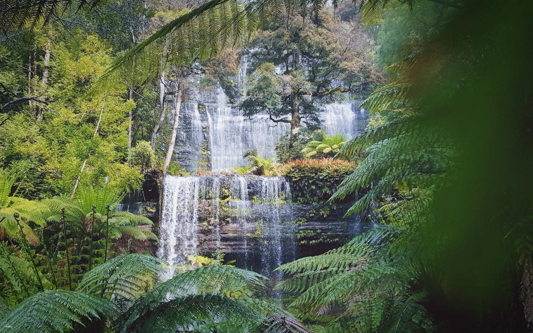 7D6N Super 7 Tour from Hobart | Tasmania