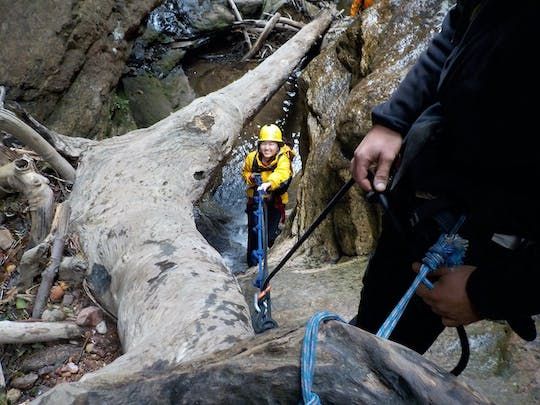 Abseiling and canyoning adventure at Juggler Canyon in Blue Mountains