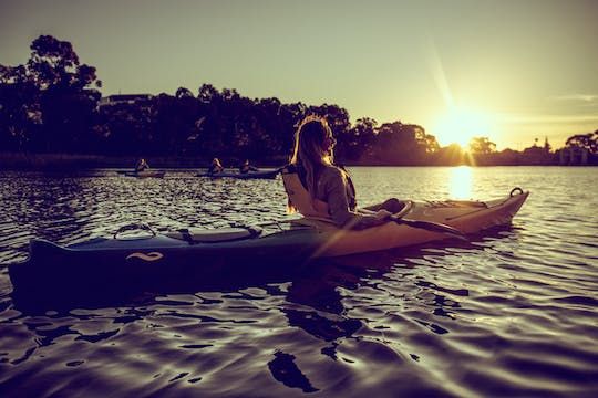 Adelaide kayak tour with expert instructors