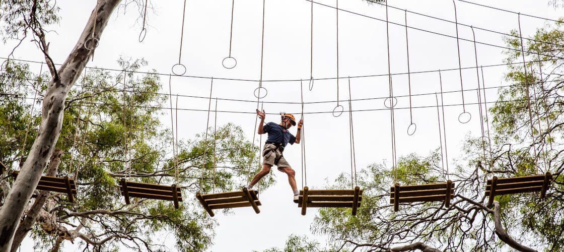 หลักสูตรแกรนด์ TreeClimb ที่อเดเลด