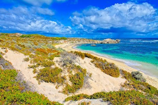 Adventure Rottnest tour from Perth