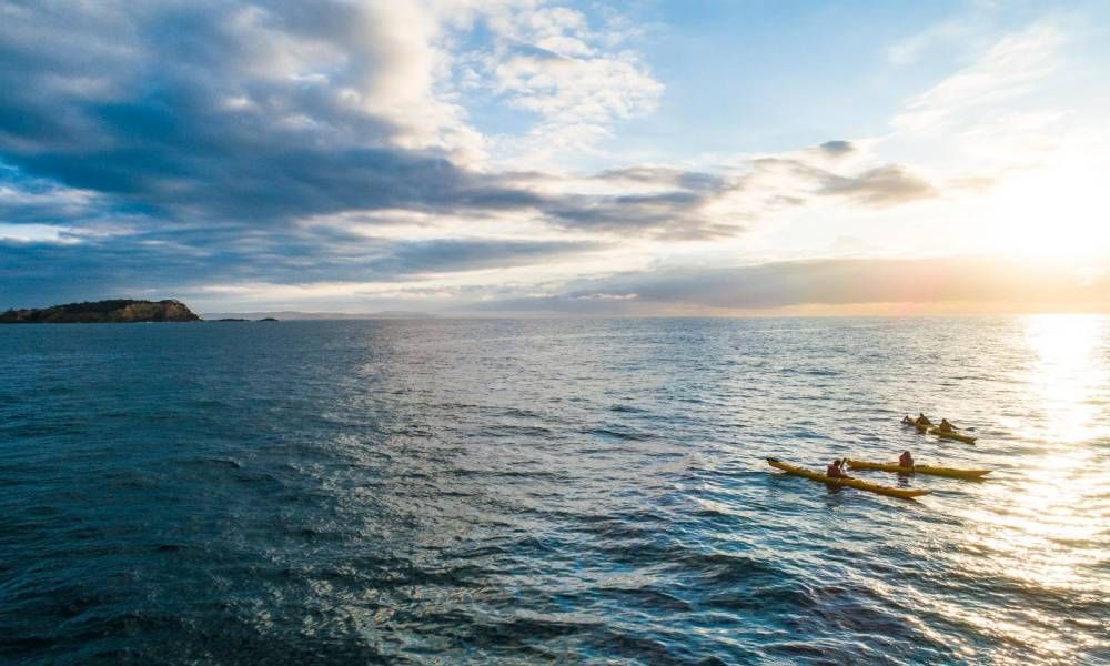 Batemans Bay Half Day Sea Kayak Tour