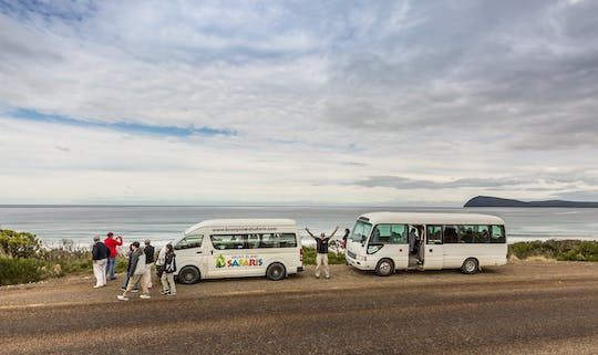 Bruny Island safaris, local food tasting and lighthouse tour