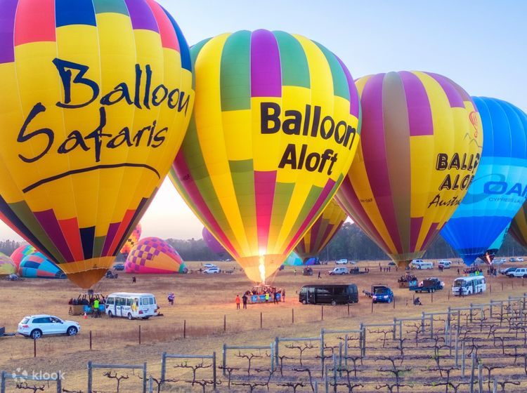 Camden Valley: Hot Air Balloon Flight at Sunrise