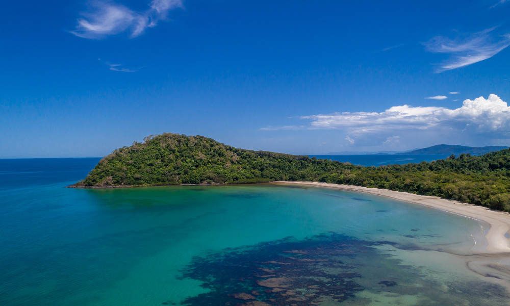 Cape Tribulation and Daintree Rainforest 4WD Day Tour