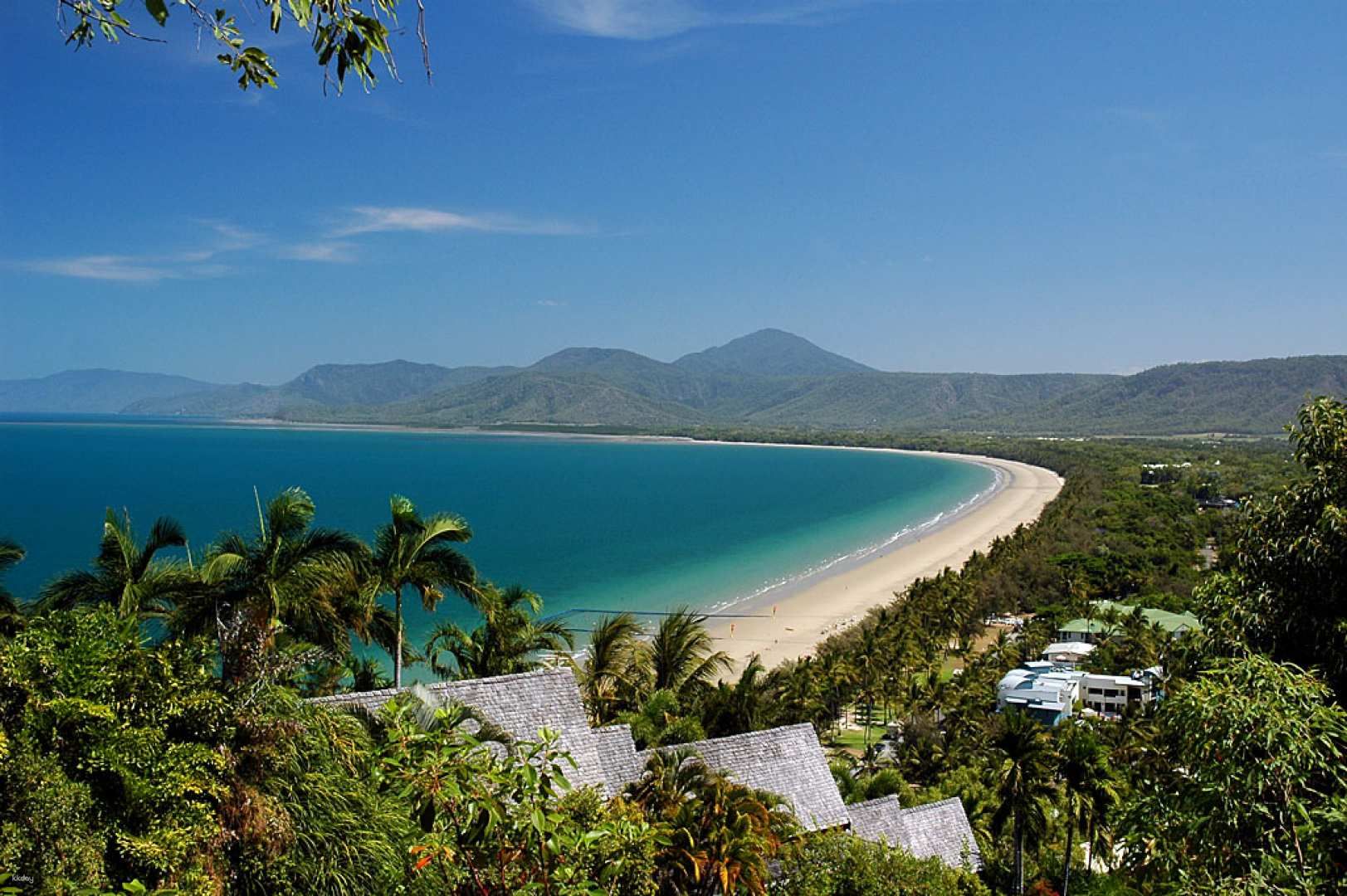 ทัวร์วันเดียวพร้อมบริการรับ-ส่งจากแคร์นส์: เคปทริบิวเลชัน, แดนทรี และสัตว์ป่า | ควีนส์แลนด์, ออสเตรเลีย