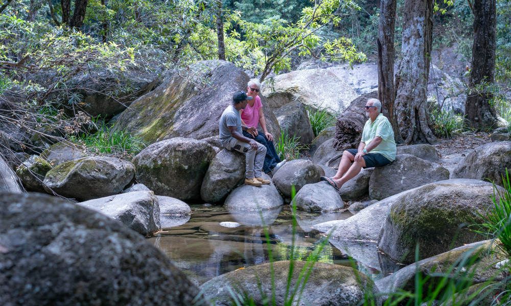 ทัวร์เต็มวัน Julaymba Dungay ไปยัง Daintree และ Mosman