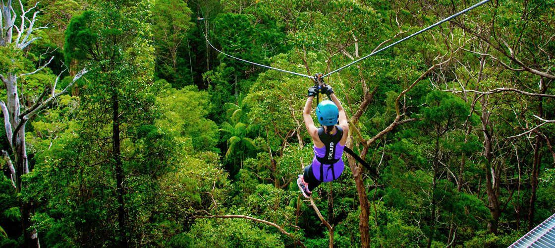 ทัวร์ซิปไลน์ที่ Gold Coast Hinterland พร้อมประสบการณ์ 4WD