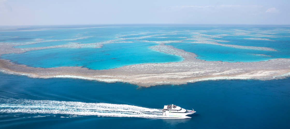 ล่องเรือชมแนวปะการัง Great Barrier Reef ไปยังท่าเทียบเรือ Hardy Reef