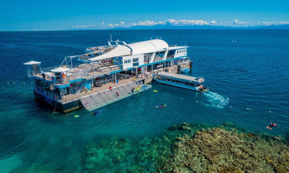 ล่องเรือชมแนวปะการัง Great Barrier Reef ไปยังท่าเทียบเรือ Reef Magic