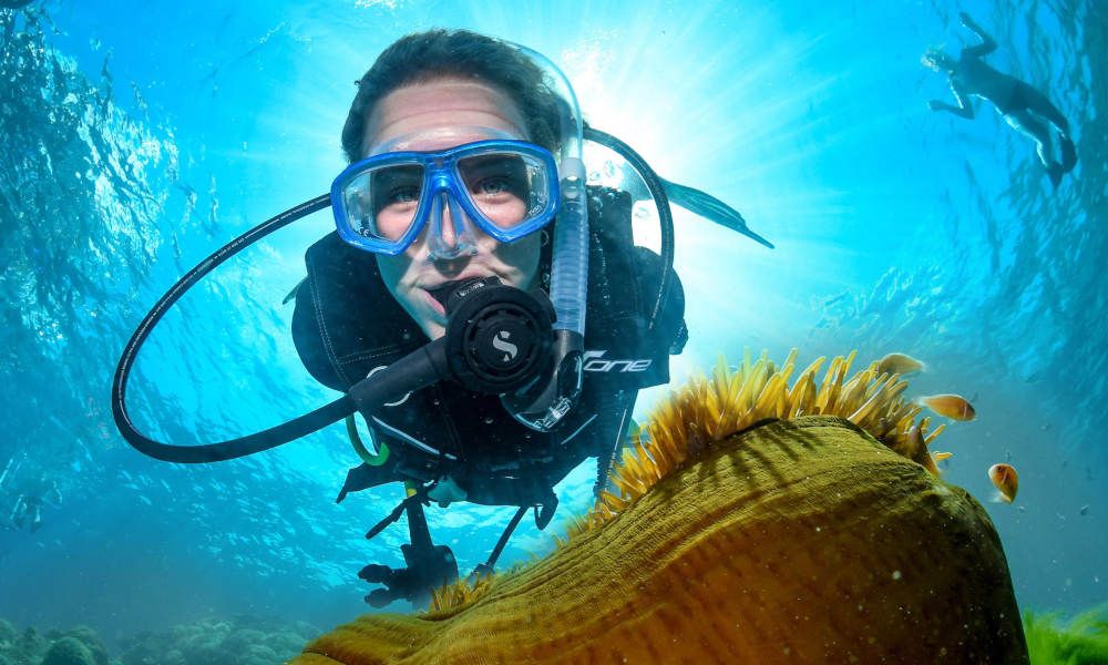 ล่องเรือดำน้ำและดำน้ำตื้นที่แนวปะการัง Great Barrier Reef ไปยัง 2 จุด