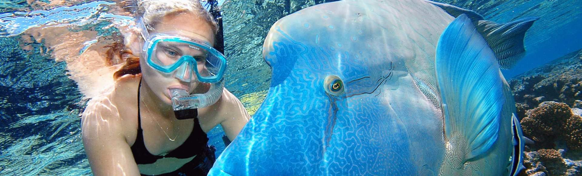 Great Barrier Reef Marine World Pontoon Cruise Tour from Cairns | Queensland
