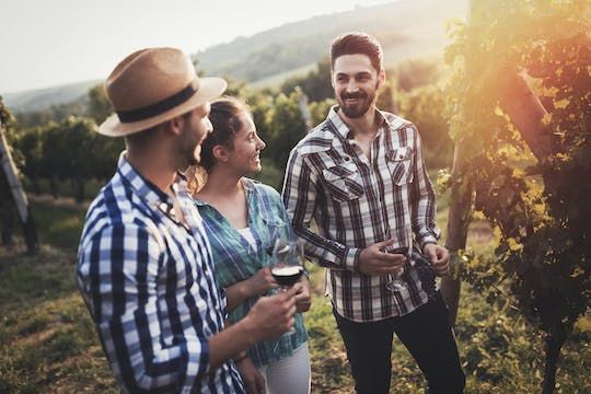 Guided half-day Mount Tamborine winery tour with lunch