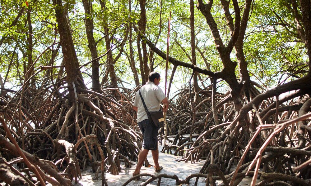 ประสบการณ์เที่ยวชมเมืองพอร์ต ดักลาส เดนทรี ครึ่งวันตอนบ่าย