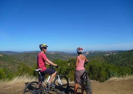 Half-day Lofty Descents tour by bike