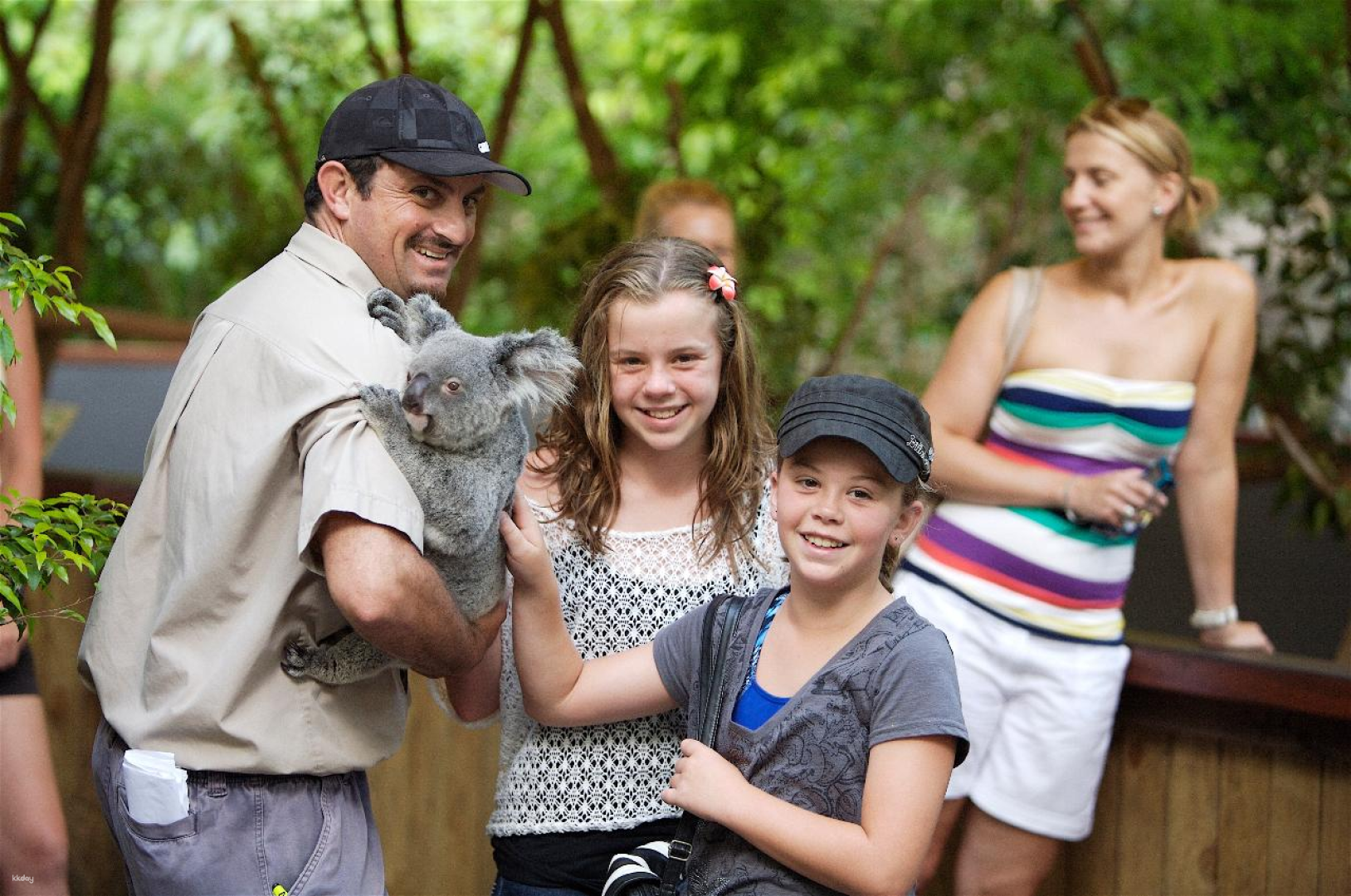 Hartley's Crocodile Adventures from Cairns | Queensland