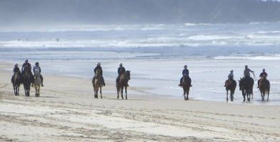 Horse Riding Byron Bay Beach Ride