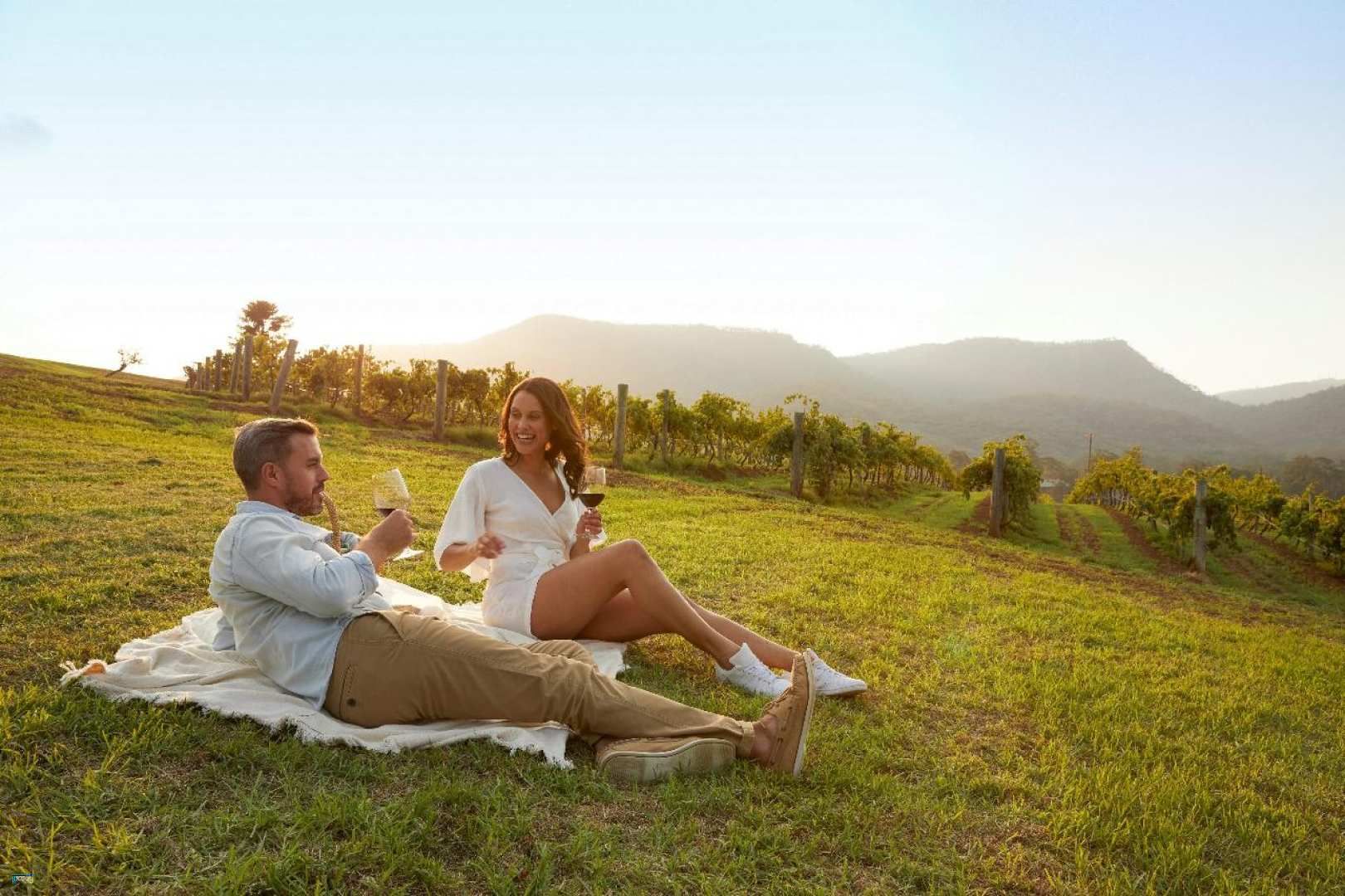 Hunter Valley Wine & Dine Day Tour from Sydney | New South Wales