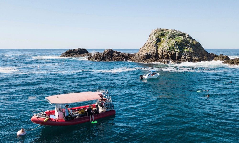 Introductory Scuba Dive Course in Byron Bay