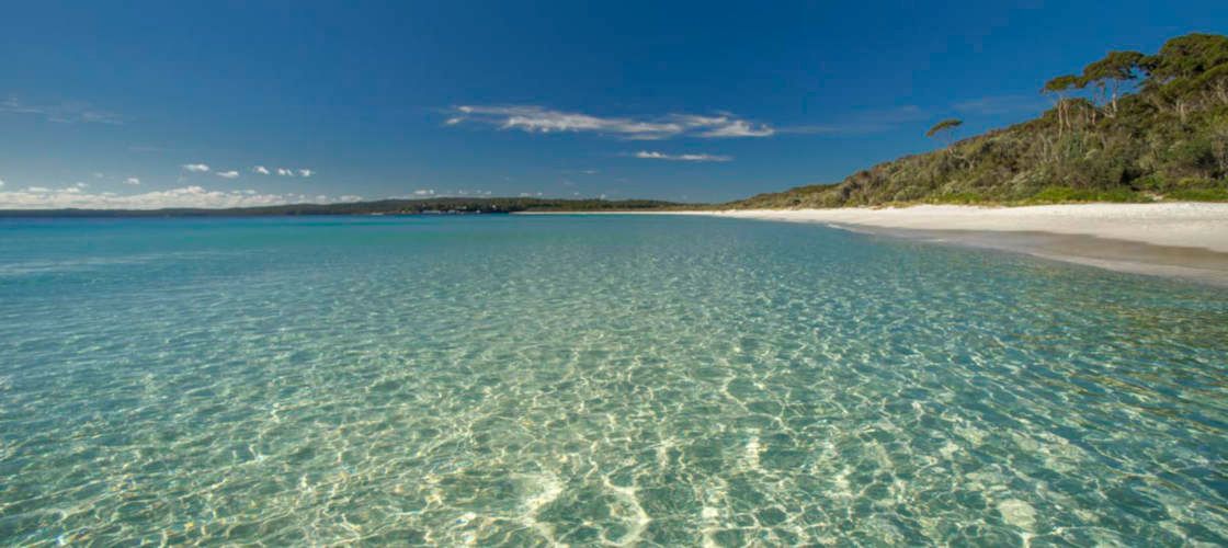 Jervis Bay Dolphin Watching Day Tour from Sydney