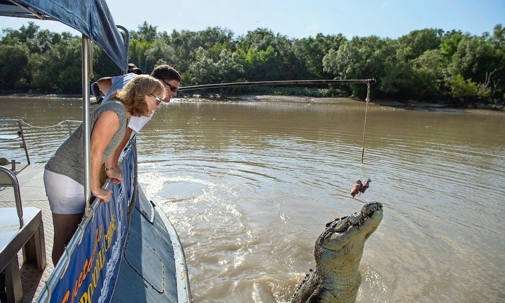 Jumping Crocs and Nature Explorer