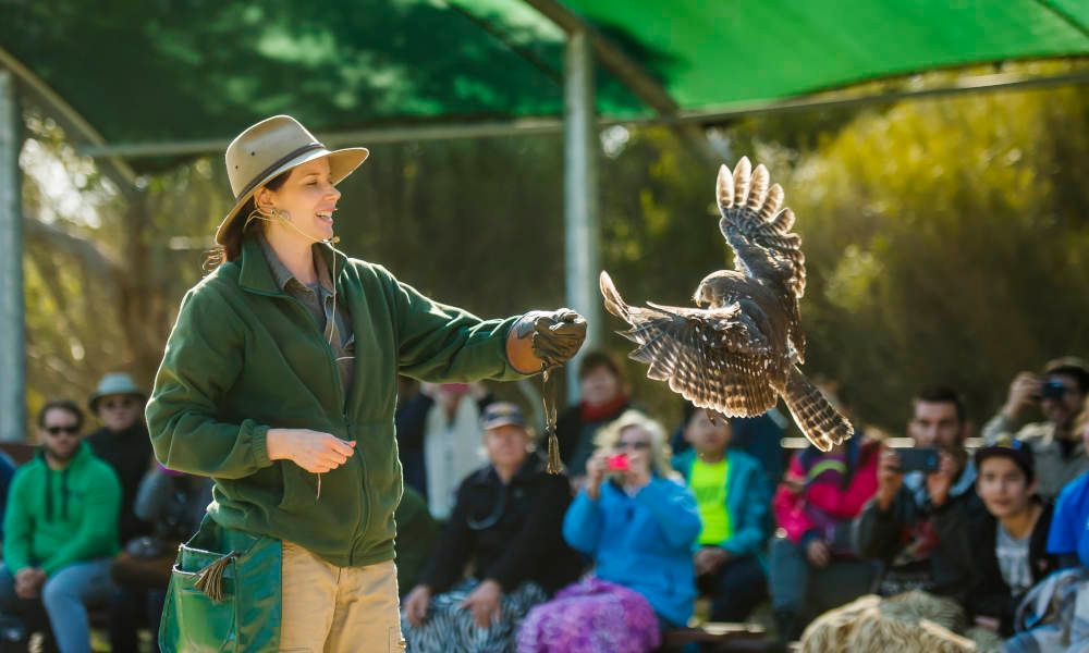 Kangaroo Island Full Day Tour from Adelaide including Lunch and Wine Tastings