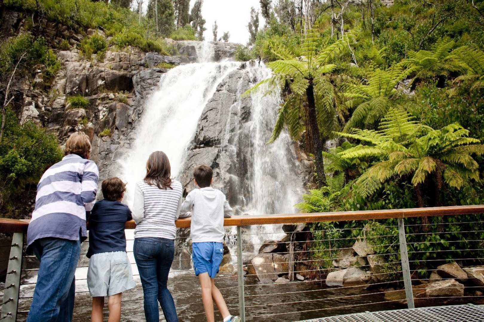 Lake Mountain Snow & Waterfalls Day Tour from Melbourne | Victoria