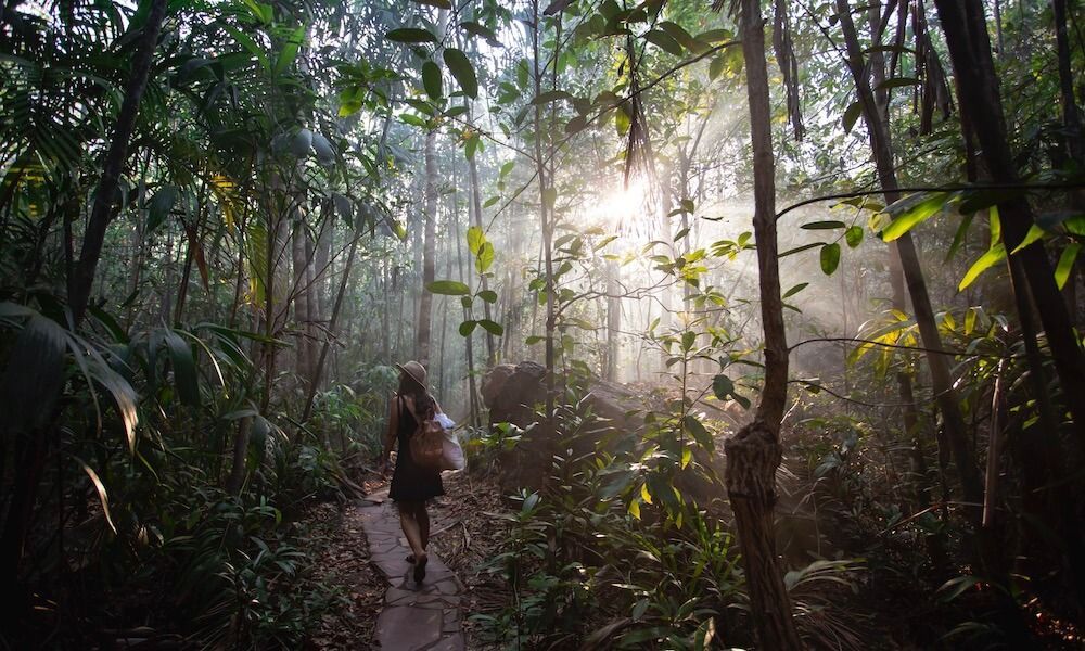 Litchfield National Park Day Tour