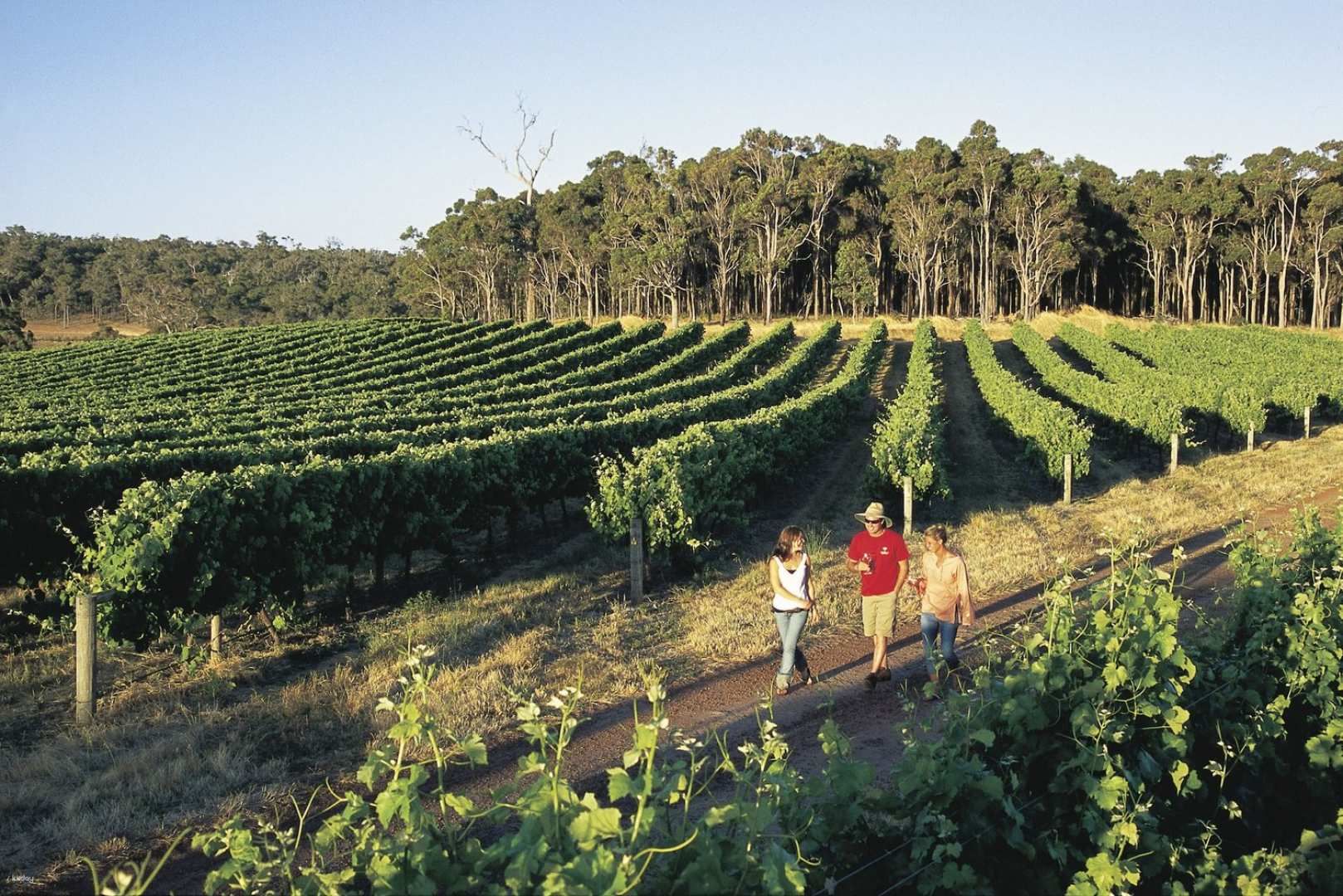 Margaret River Region Full Day Tour from Perth: Busselton Jetty & Cape Leeuwin Lighthouse | Western Australia