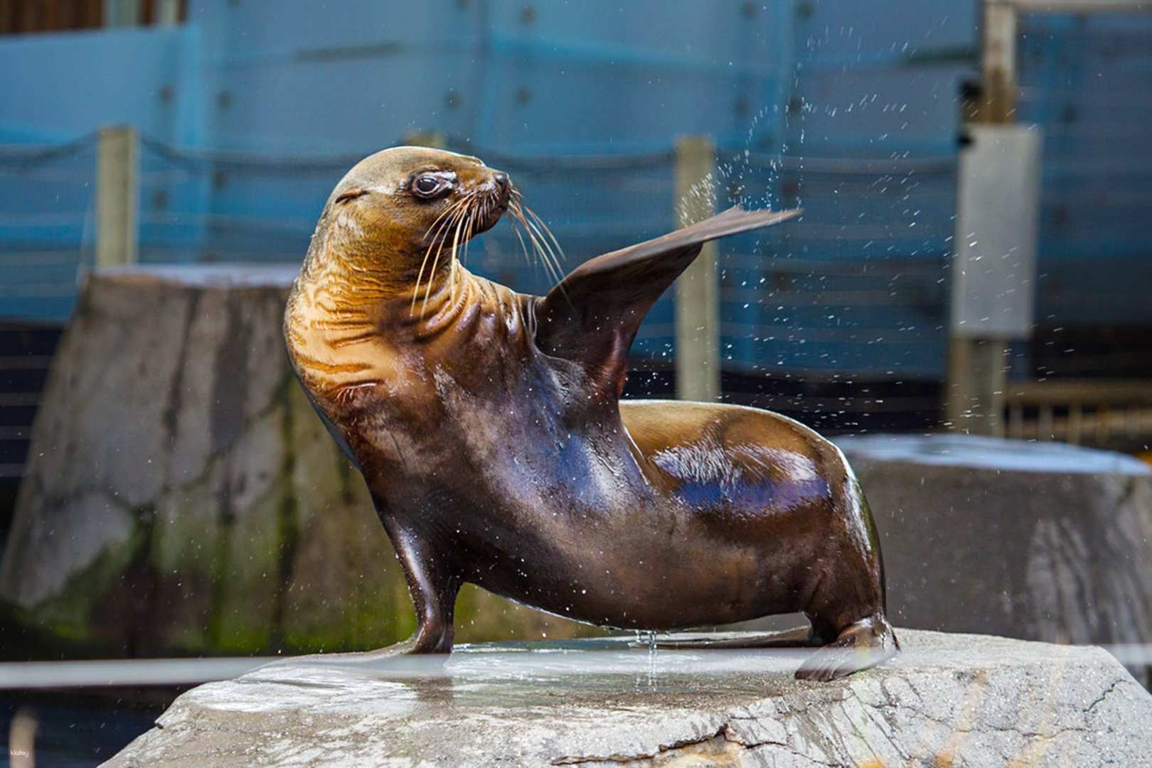 Melbourne Zoo