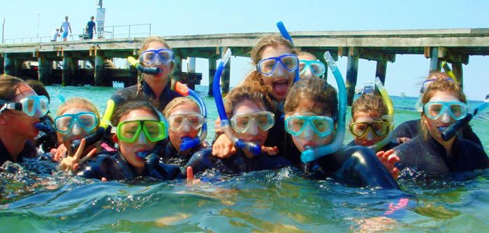 Mornington Peninsula Weedy Sea Dragons Snorkel Tour