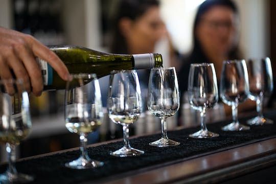 Mount Tamborine winery small group private tour with lunch